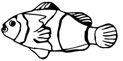 clown fish template  fit  page nemo coloring pages coloring