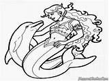 Duyung Putri Lumba Mewarnai Ikan Dolphin Barbie Mermaids Dolphins Animasi Disimpan sketch template