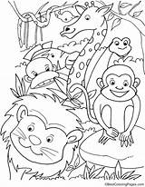 Animals Forest Coloring Pages Kids Jungle sketch template