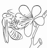 Bee Coloring Pages Color Print sketch template