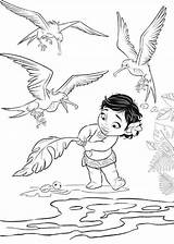 Moana Coloring Pages Baby Kids sketch template