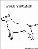 Terrier Coloring Bull Pages Template sketch template