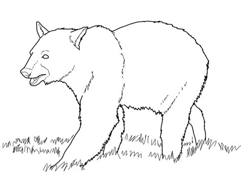 grizzly bear coloring  grizzly bear coloring