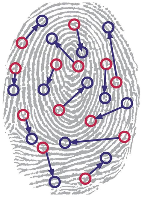 library rfid hub biometrics