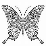 Coloring Borboletas Mandalas Borboleta Swallowtails Borboletinhas Insect Atividades Imprima Fazer sketch template