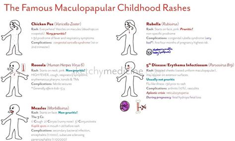 skin rash differential diagnosis chart pediatric nurse practitioner