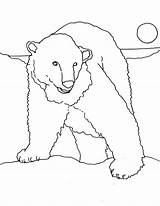 Bear Coloring Kidsplaycolor sketch template