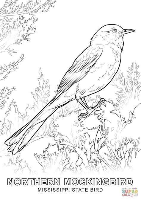 winter birds coloring pages coloring easy  kids