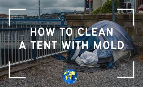 clean  tent  mold step  step guide  travel blogs
