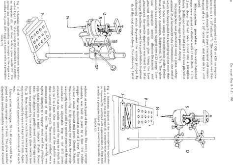 schematic dagram   microinjection apparatus   expt    scientific