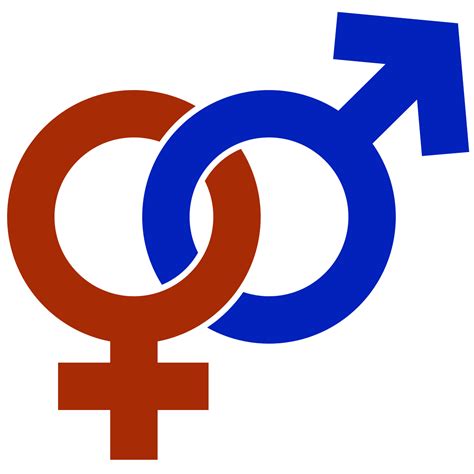 Gender Role Wikipedia
