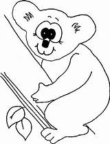 Bear Koala Coloring Eye Big Color Drawing Line Luna Getdrawings sketch template