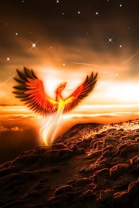 images  phoenix bird  fire  pinterest  flame