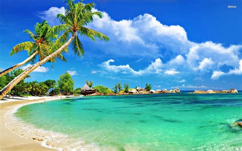 Tropical Beach High Definition Wallpaper 09081 Baltana