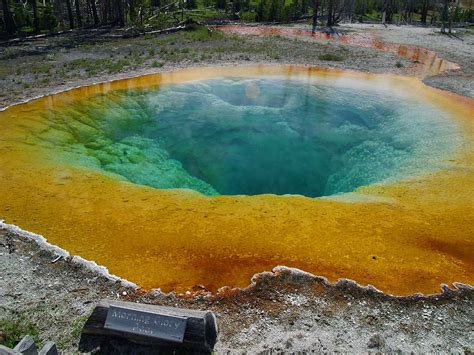 Morning Glory Pool At Yellowstone National Park Wyoming