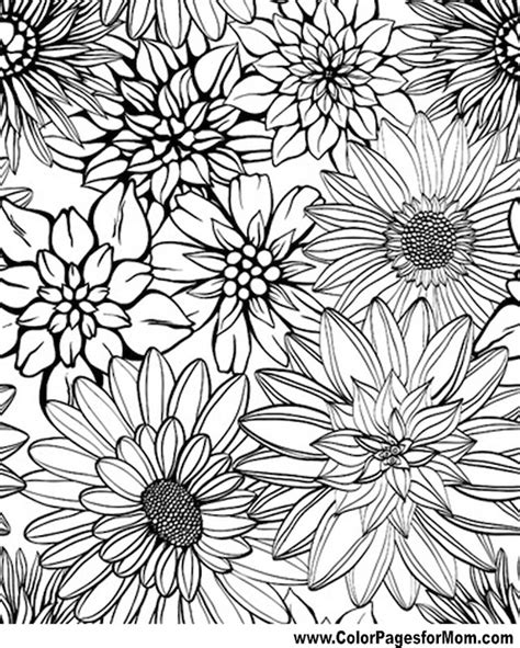 detailed flower coloring pages  adults printable ycv