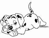 Dalmatians 101 Coloring Pages Puppy Dalmatian Disneyclips Disney Sleepy Puppies Funstuff sketch template