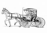 Horse Coloring Carriage Pages Cart Drawing Wagon Buggy Getcolorings Edupics Paintingvalley Visit Color sketch template