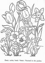 Flori Colorat Desene Planse Kolorowanki Kwiaty Wiosenne Colouring Plante Relier Coloriages Crocus Chomikuj Abstract sketch template