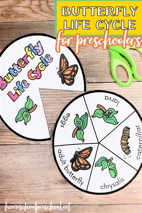 butterfly project butterfly kids butterfly crafts printable