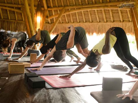 ubud yoga retreat   beginners blue karma secrets