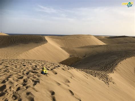 visita la reserva natural especial de las dunas de maspalomas