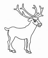 Elk Pages Coloring Bull Getcolorings Drawing Young Printable sketch template