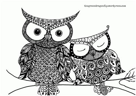 coloring pages  owl babies   coloring pages  owl