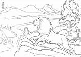 Aslan Coloring Lion Narnia Pages Print Colour Color Colouring Book Chronicles Online sketch template