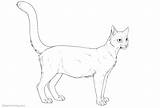 Cat Coloring Pregnant Pages Kids Printable sketch template