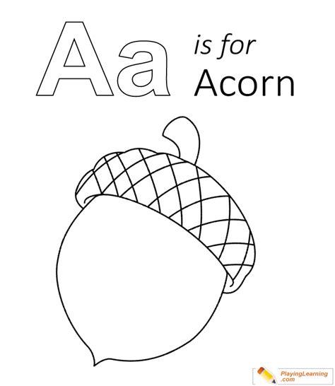 acorn coloring page      acorn coloring page