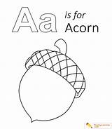 Acorn Sheet Letter Preschoolers sketch template