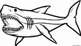 Megalodon Sharks Angry Etk Clipartbest Clipartmag sketch template