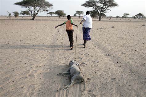 East Africa Drought In Pictures Global Development The Guardian