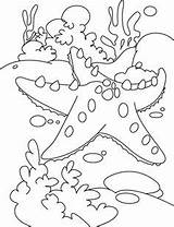 Starfish Coloring Pages Kids Bahamas Color Outline Fish Star Rest Print Getdrawings Popular sketch template