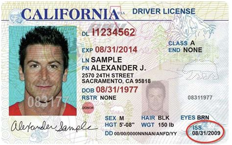 dmv  drivers license photo id aslbudget