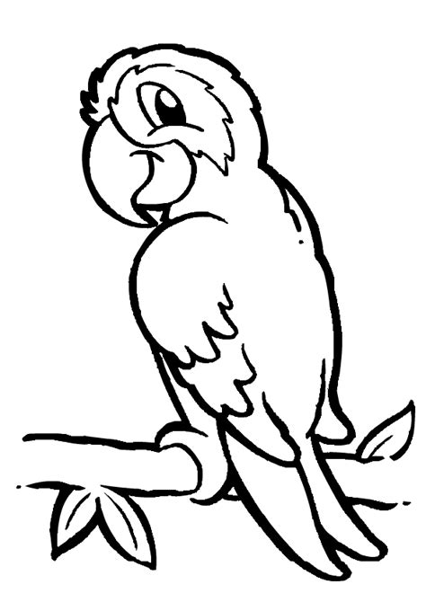 printable parrot coloring pages pet tropical bird coloring print