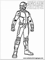 Ant Mewarnai Antman Superhero Realistic sketch template