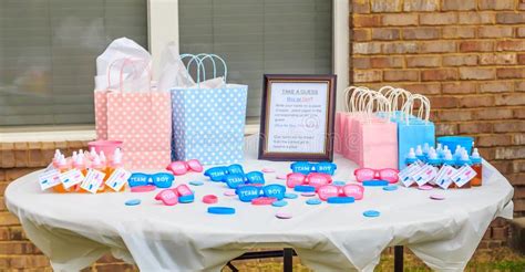 Outdoor Pink And Blue Gender Reveal Party Decoration