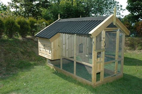 hen house  plan  build buy  summer   hens produce gardening outdoor