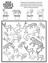 Animals Wild Activity Spy Printable Color Count Kids Worksheet sketch template