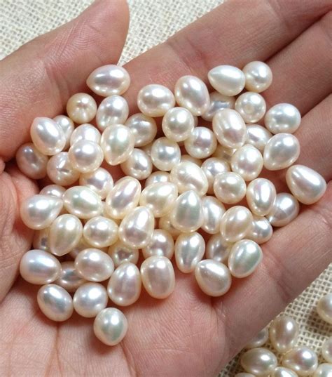 mm aa freshwater pearls natural creamy white top drilled teardrop briolette  pcs fun