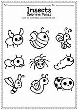 Kids Insect Color Insects Bug Worksheets Coloring Bugs Pages Parts Body Colour Worksheeto Diagram Google Via sketch template