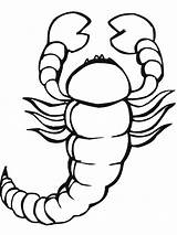 Scorpion sketch template