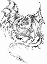 Dragon Drawings Coloring Medieval Pages Tattoo Line Sketch Chinese Drawing Dragons Tattoos Fairies Designs sketch template