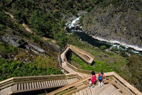 wild  winding stairway   portuguese river   york times