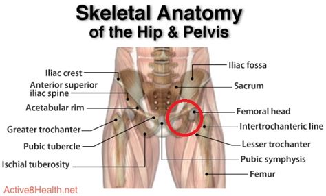 Snapping Hip Syndrome