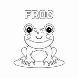 Frog Rana Sapos Ranas sketch template