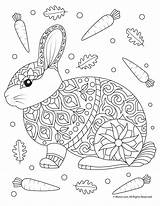 Coloring Adult Pages Rabbit Animal Printable Kids Bunny Woojr Fall Easter Mandala Print Books Sheets Printables Book Choose Board sketch template