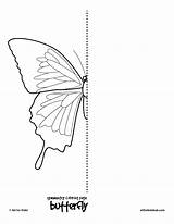 Symmetry Coloring Butterfly Pages Drawing Worksheets Kids Bug Hub Grid Easy Artforkidshub Insect Symmetrical Half Mirror Butterflies Colouring Bugs Worksheet sketch template